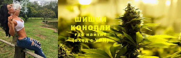 ешки Алзамай